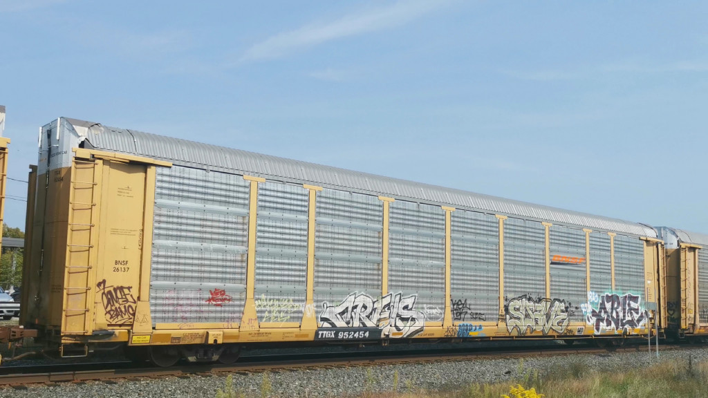 BNSF 26137 (Body) TTGX 952454 (Flat)